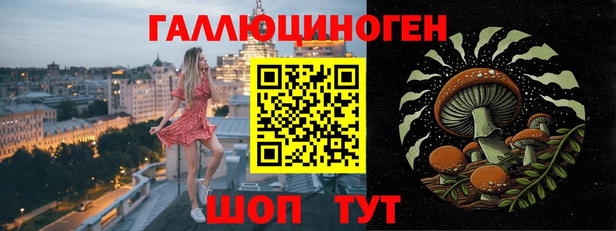 Галлюциногенные грибы Psilocybine cubensis  Псилоцибиновые грибы мицелий  Кизилюрт  даркнет сайт  Вход с VPN 